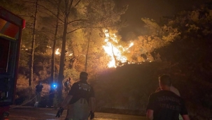 Su Temini Ve İletişim İçin Daha Güçlü Koordinasyon Talebi