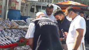 6 kutu istavrit balığına el konuldu