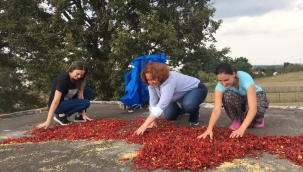 CHP'li Erdim: "Dayanışmayı Büyütmeye Devam Edeceğiz"