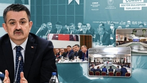 Bakan Pakdemirli: Son 3 Yıldır Çiftçimizin Emeğini Yerde Bırakmadık