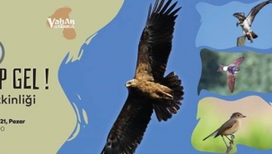 Gelin Göçmen Kuşları Birlikte İzleyelim