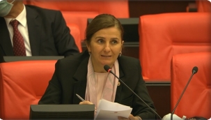 Kaynarca: "Kırsal Mahalle, Devrim Niteliğinde Bir Düzenleme Olacak"