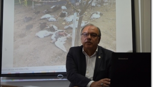 Bek: "Kümes hayvanları Silivri Belediyesi'nin ihmali yüzünden telef oldu"