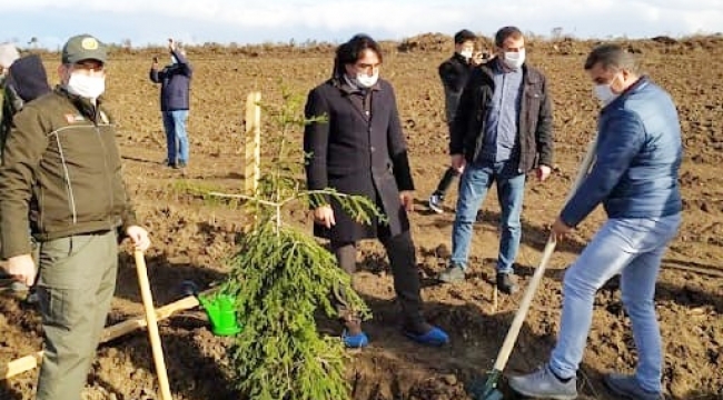 Silivri İlçe Tarım ve Orman Müdürlüğü, herkesi fidan dikmeye çağırdı