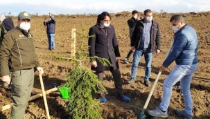 Silivri İlçe Tarım ve Orman Müdürlüğü, herkesi fidan dikmeye çağırdı