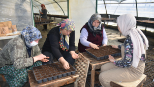 Başkan Yılmaz: "80 Bin Fide Elde Etmeyi Hedefliyoruz"