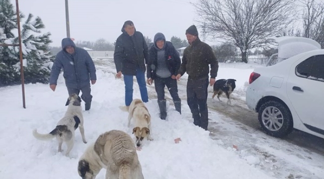 Kış bastırdı, Silivrili Avcılar ve Atıcılar can dostlarını unutmadı