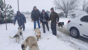 Kış bastırdı, Silivrili Avcılar ve Atıcılar can dostlarını unutmadı