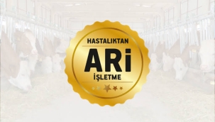 Silivri'deki Gündönümü Çiftliği'nde Ari İşletme Çalışmaları Başlatıldı