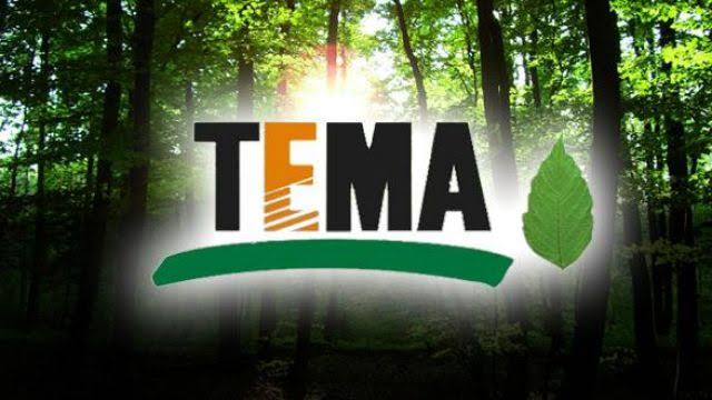 TEMA Vakfı'ndan Çınar Kanseri Hastalığıyla İlgili Açıklama