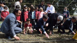 Deneme serasında ilk fideler ekildi