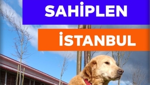 Hayvanseverler 3 Nisan'da Tepeören'de