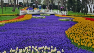 Lale Bayramı Coşkuyla Kutlanacak