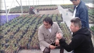 Örtü Altı Süs Bitkileri üretiminde Seymen elini güçlendiriyor