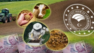 Tarım ve Orman Bakanlığı 156 Milyon 585 Bin Liralık Destek Ödemelerine Başladı