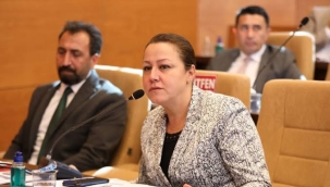 Güler'den Bolu Belediye Başkanına: "Sıfat da yok ki tükürülecek"