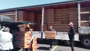 İBB yazlık sebze fideleri Silivri'de üreticilerle buluşturulmaya başlandı