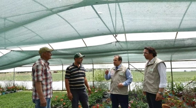 Silivri Süs Bitkileri Kooperatifi Üyelerinin seralarına İl Tarım ve Orman Müdüründen ziyaret