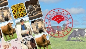 Tarım ve Orman Bakanlığı, 1 Milyar 44 Milyon Liralık Destek Ödemelerine Başladı