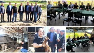 Yolçatı Mahallesi'nde Mera Islahı ve Amenajmanı Projesi Tanıldı