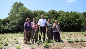 Başkan Yılmaz'dan Danamandıra'ya Çıkarma