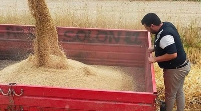 Değirmenköylü çiftçi belediyenin hibe ettiği arpa tohumundan rekor verim aldı