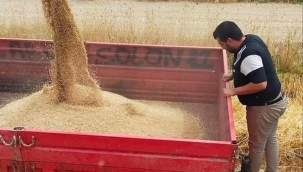 Değirmenköylü çiftçi belediyenin hibe ettiği arpa tohumundan rekor verim aldı