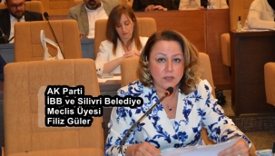 Güler'den Kadınlar Plajı yorumu: Haremlik selamlık diye bir şey yok!