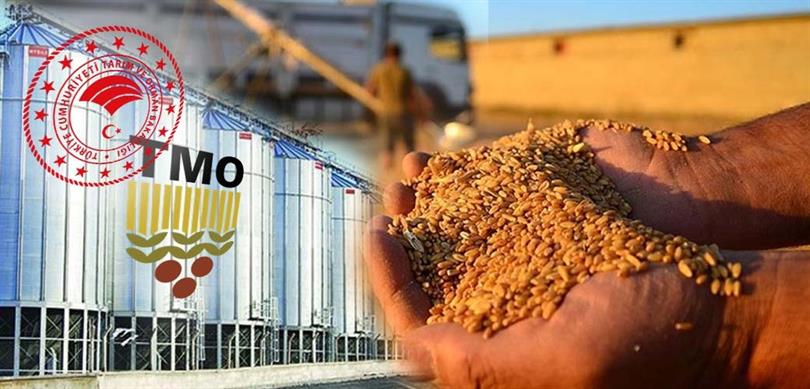 Tarım Ve Orman Bakanlığından Uygun Fiyatlı Ekmeklik Buğday Satışına Devam Kararı
