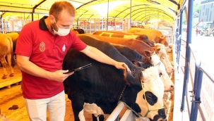 Kurban Kesmek İçin 5 Farklı Nokta