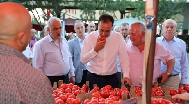 Silivri'de En Güzel Domatesler Yarıştı