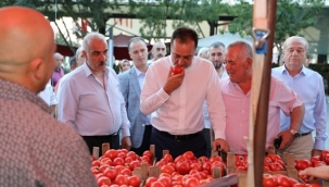 Silivri'de En Güzel Domatesler Yarıştı