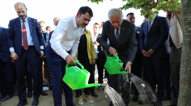 Silivri Millet Bahçesinde İlk Fidanlar Toprakla Buluştu