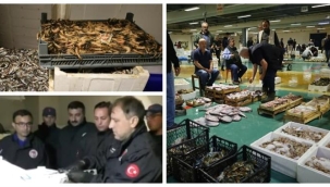 Av sezonunun açılmasıyla su ürünlerine yönelik denetimler de arttı