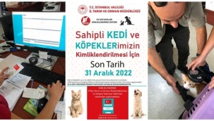 Sahipli kedi ve köpeklerin kimliklendirilmesi için son tarih açıklandı