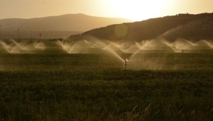 Ülke Tarımında Modern Sulama Sistemleri Hızla Yayılıyor