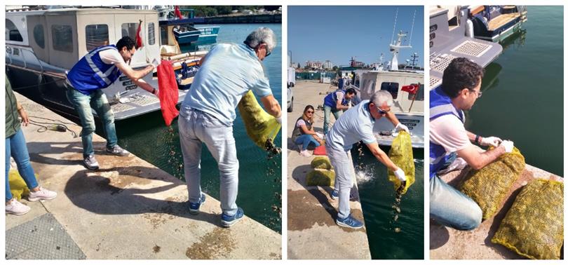 Yasa Dışı Kara Kıllı Midye Avcılarına Baskın