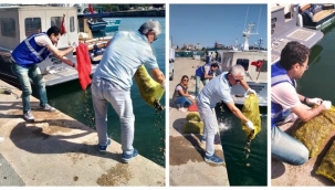 Yasa Dışı Kara Kıllı Midye Avcılarına Baskın