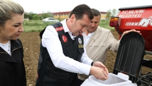 Silivri Belediye Başkanı Bora Balcıoğlu, Alipaşa Mahallesi'nde Ayçiçek Ekimi Gerçekleştirdi