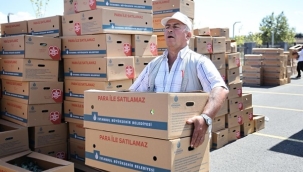 İBB ve Silivri Belediyesi'nden Çiftçilere Fide Desteği