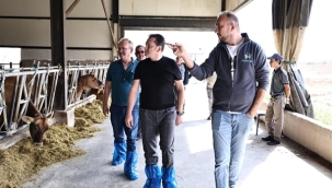 Silivri Belediye Başkanı Bora Balcıoğlu, Bekirli Köyü ve Ethem Bey Çiftliği'ni Ziyaret Etti