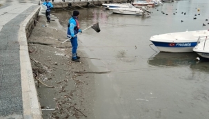 Silivri'de İSTAÇ Ekipleri Sahil Temizlik Çalışmalarını Sürdürüyor