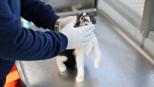 VETBÜS'le Can Dostlarımızın Yanındayız!