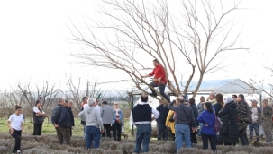 Silivri Belediyesi Budama ve Aşılama Teknikleri Eğitimi Verdi