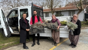 Silivri Belediyesi Fenerköy İlkokulu Öğrencilerine Fide Desteği Sağladı