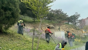 Silivri'de Yeşil Seferberlik: Park ve Bahçelerde Yoğun Çalışma