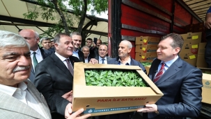 Silivri'de Üretime Tam Destek: Yazlık Fide Dağıtımı Gerçekleşti