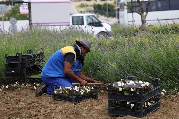 Silivri'de Yaz Aylarına Hazırlıklar Devam Ediyor