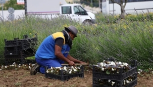 Silivri'de Yaz Aylarına Hazırlıklar Devam Ediyor