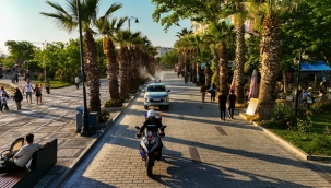 Silivri'de Yaz Boyu Haşere ve Sivrisinekle Mücadele Sürüyor